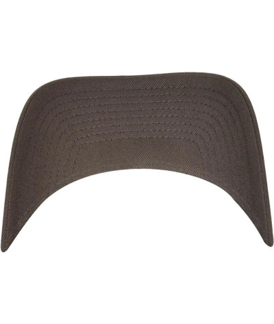 Flexfit 110 Curved Visor Snapback