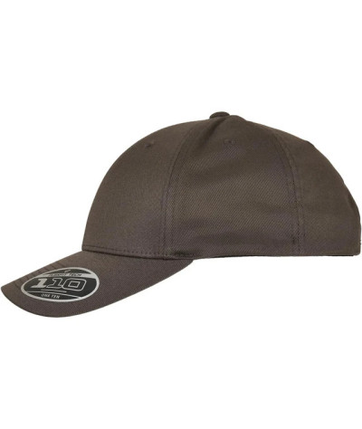 Flexfit 110 Curved Visor Snapback