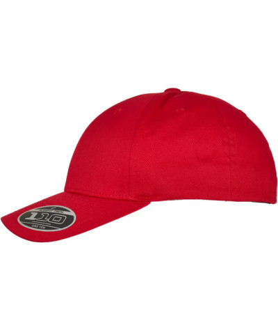 Flexfit 110 Curved Visor Snapback