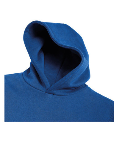 Russell Athletic Kids Authentic Hooded Sweat