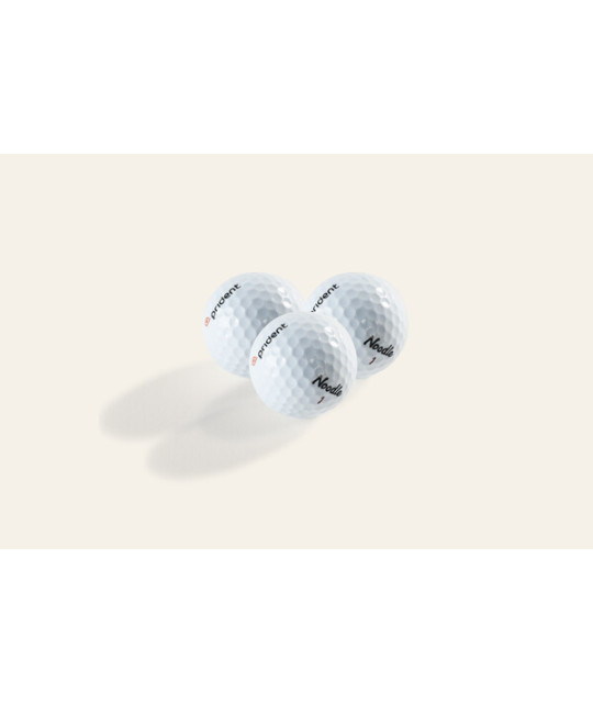 Prident Golfboll Noodle | ADT Tryck