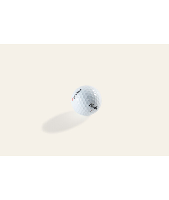 Prident Golfboll Noodle | ADT Tryck