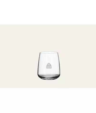 Prident Glass Nexo Aqua