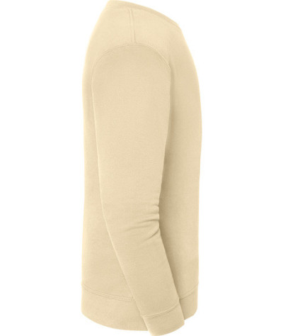 Fruit of the Loom ICONIC 250 SET-IN SWEAT