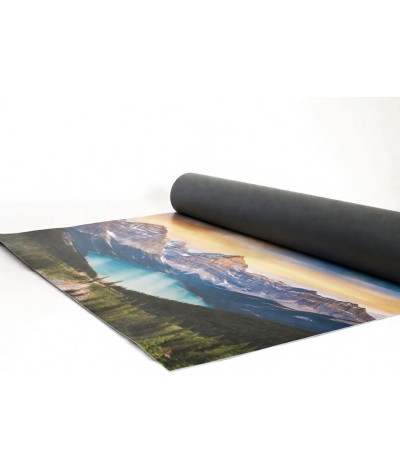 Bildvåd till Rollup