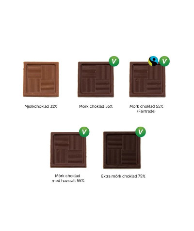 Caramello Chocolate Squares