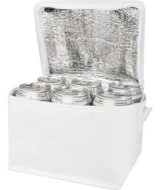 ADT Spectrum cooler bag for 6 cans