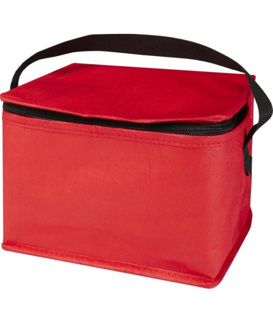 ADT Spectrum cooler bag for 6 cans
