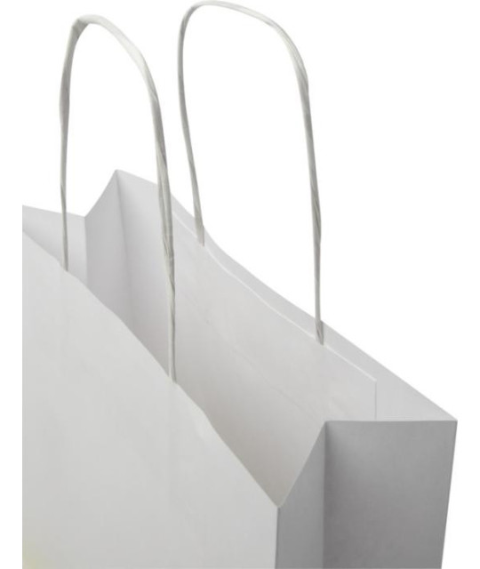 ADT Kraftpapperspåse, 24x9x24 cm, 120 g/m2 med tvinnade handtag | A...