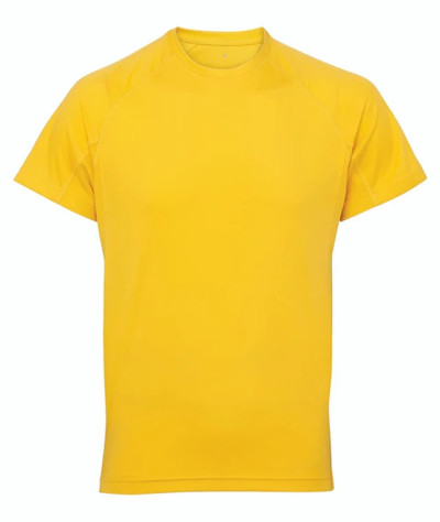 TriDri® panelled tech tee