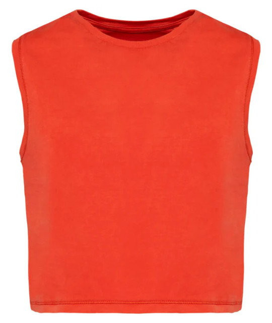 Native Spirit Ladies faded cropped sleeveless t-shirt